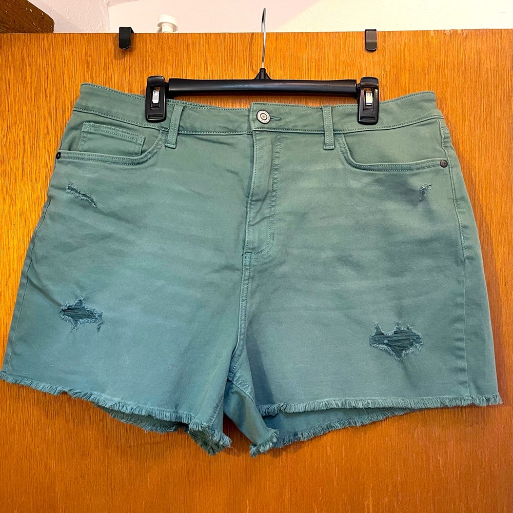 NWOT Lauren Conrad Sage green shorts size 18